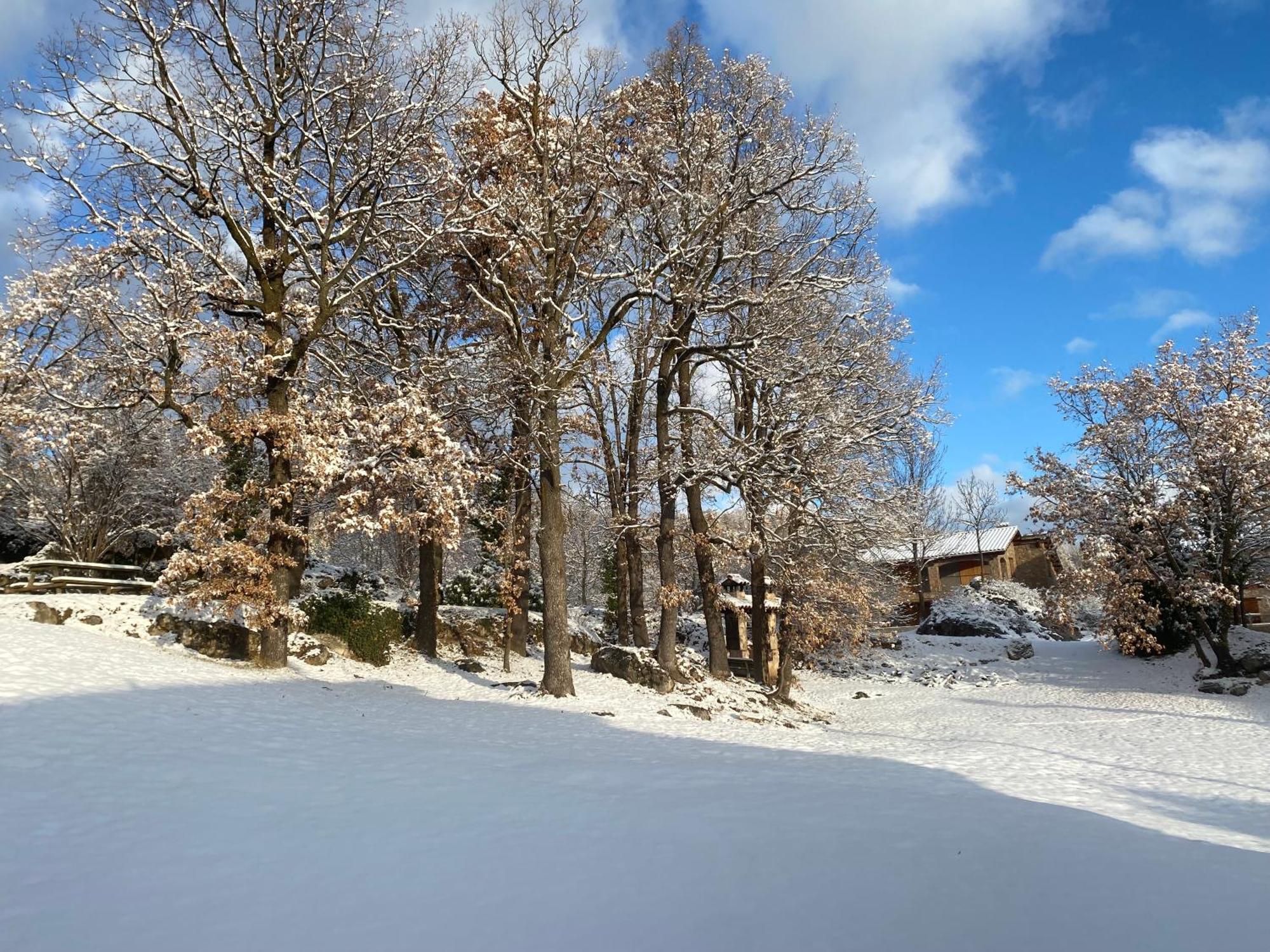Cal Carol Apartamento Vallcebre Exterior foto